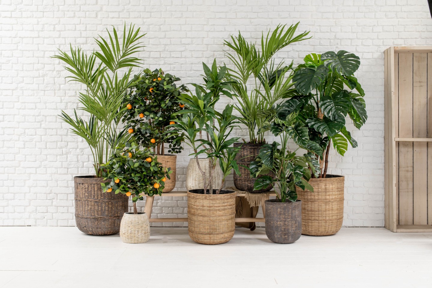 a collection of artificial plants in pots